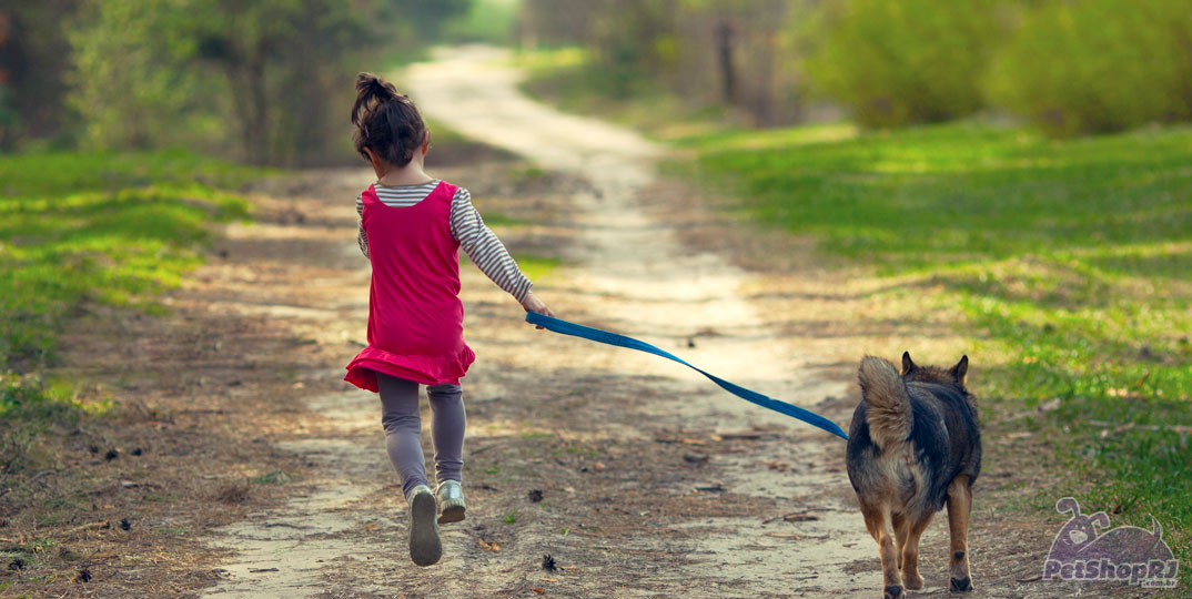 Dicas para a hora do passeio com seu cão